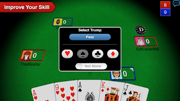 Schermata Euchre 3D 4
