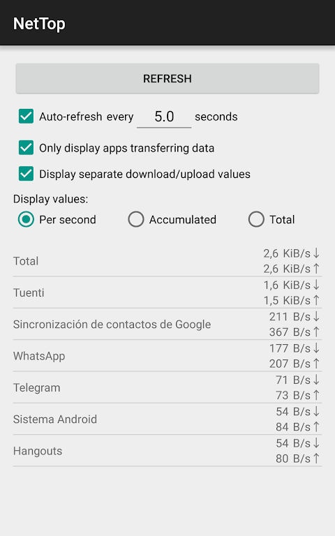 NetTop: RealTime Network Meter Screenshot 2
