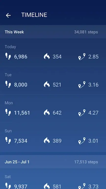 Schermata Pedometer 2