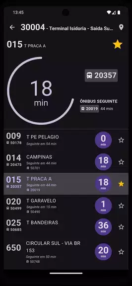 GO Bus: Goiânia e Região Captura de tela 4