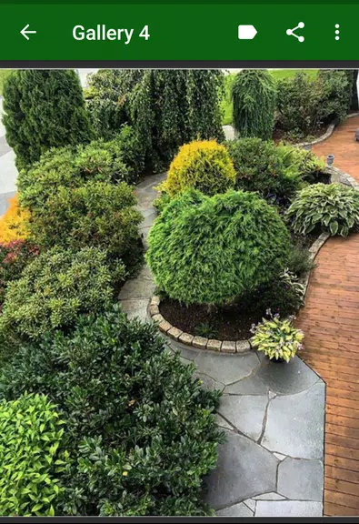 Garden Plants Скриншот 3