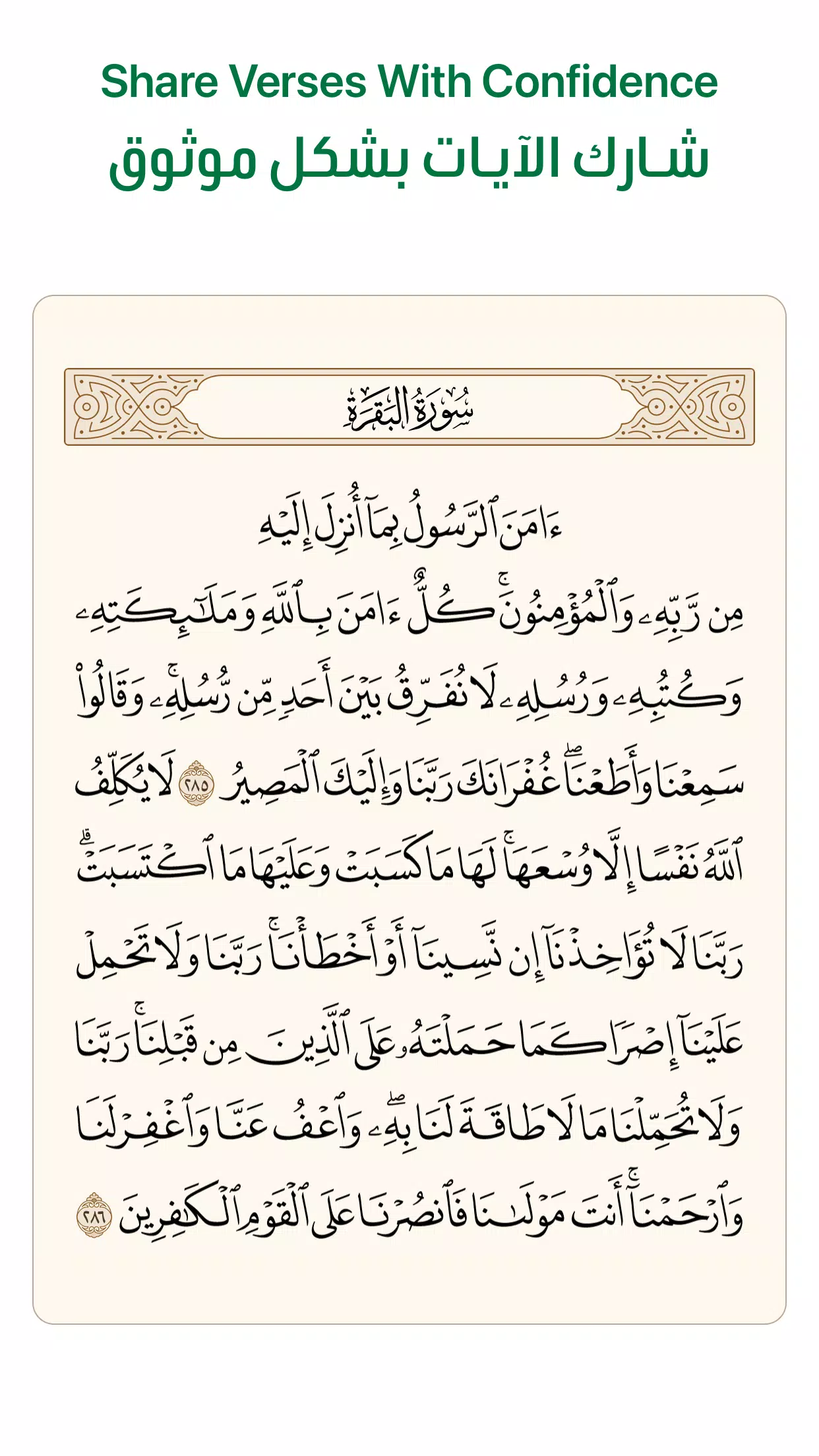 آية - تطبيق القرآن الكريم Скриншот 4