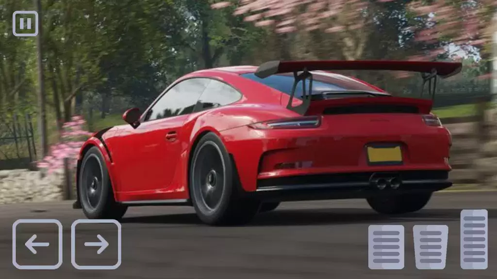 Racing Porsche Carrera 911 GT3 Скриншот 4