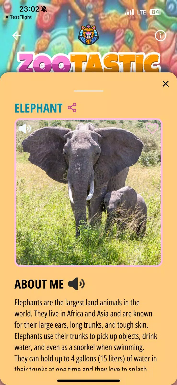 Zootastic Скриншот 4