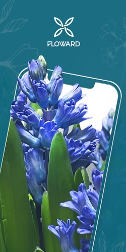 Floward Online Flowers & Gifts Captura de pantalla 1