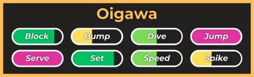 Stile Oigawa dall'esperienza Roblox di Leggende del Volley