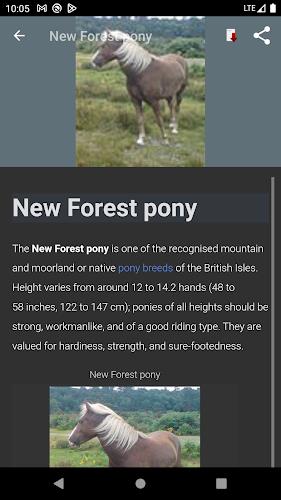 Horse breeds - Photos Скриншот 4