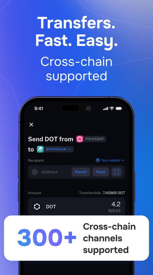 Schermata Nova Polkadot Wallet 4