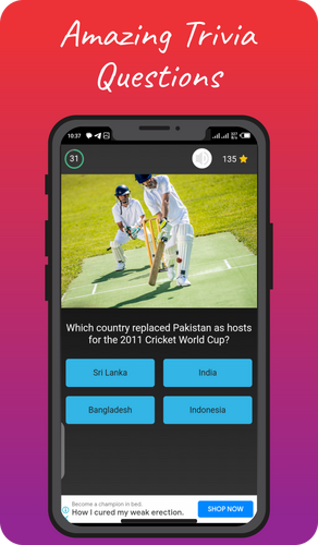 Cricket Mania Zrzut ekranu 2