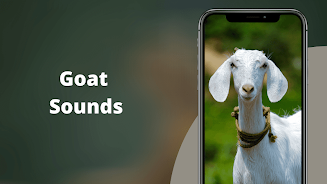 Goat Sounds應用截圖第1張