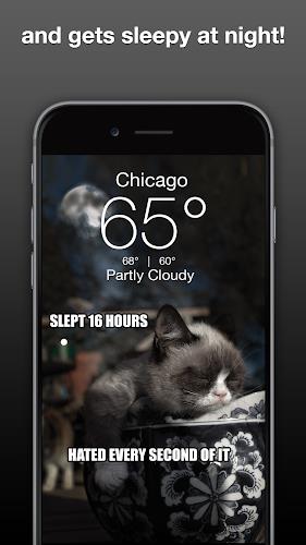 Grumpy Cat Weather Скриншот 3