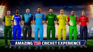 Indian Cricket Championship Ảnh chụp màn hình 3