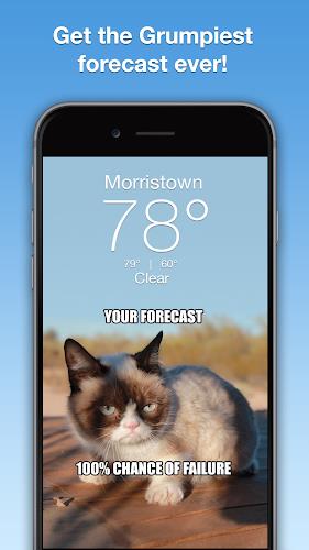 Grumpy Cat Weather Скриншот 1