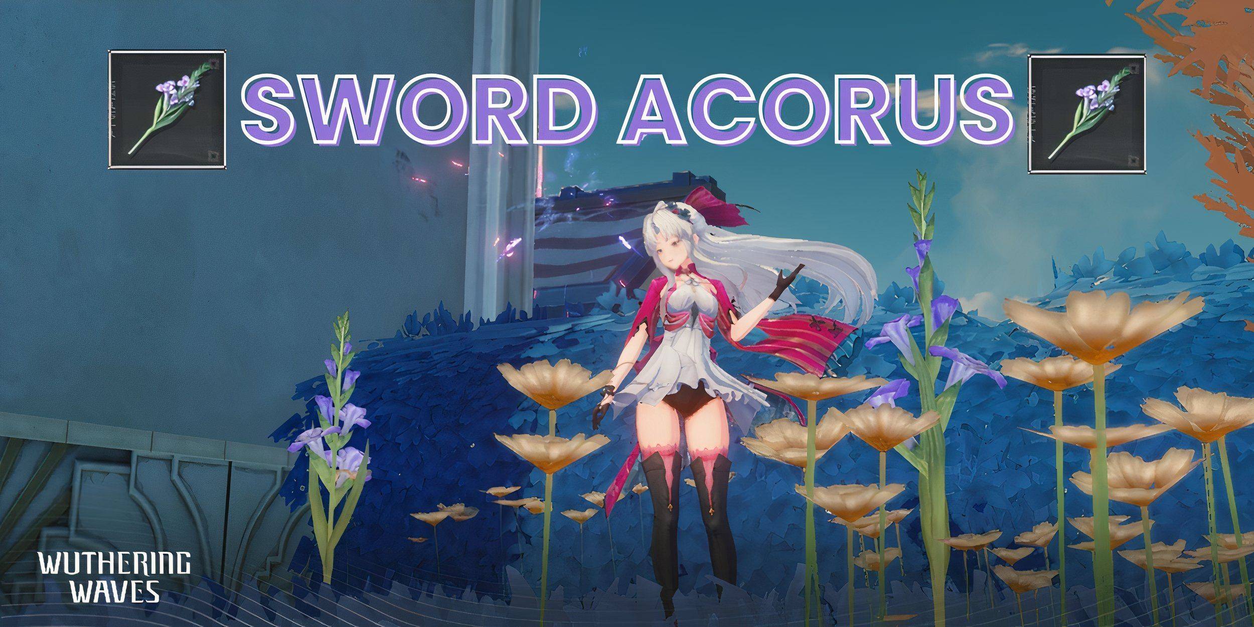 Wuthering Waves: Essential Sword Acorus Guide