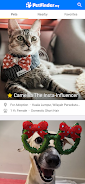 PetFinder.my 스크린샷 1