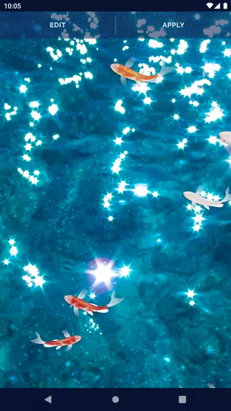 Fish 4K HD Koi Live Pond 3D應用截圖第4張