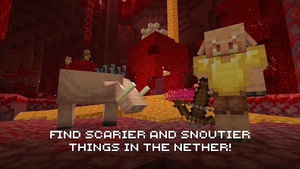 Minecraft ภาพหน้าจอ 4