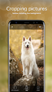 Dog Wallpapers & Puppy 4K Tangkapan skrin 4