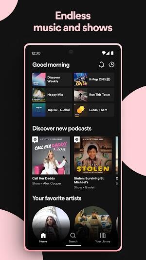 Spotify Premium Apk per Android