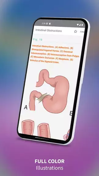 Medical Surgical RN Companion Zrzut ekranu 3