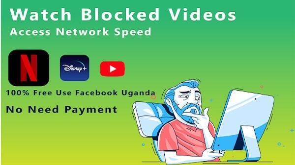 Schermata Zebra VPN 4