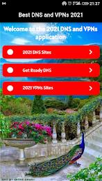 DNS and VPNs Скриншот 1