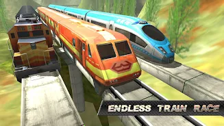 Train Race Ảnh chụp màn hình 4