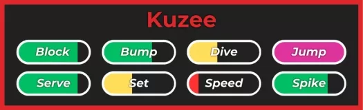 Stile Kuzee dall'esperienza Roblox di Haikyuu Legends