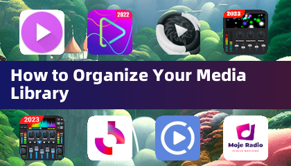 How to Organize Your Media Library